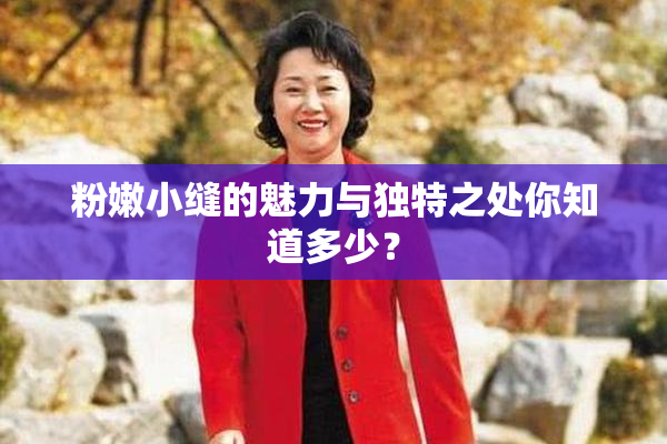 粉嫩小缝的魅力与独特之处你知道多少？