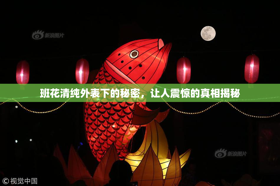 班花清纯外表下的秘密，让人震惊的真相揭秘