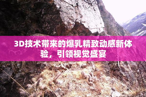 3D技术带来的爆乳精致动感新体验，引领视觉盛宴