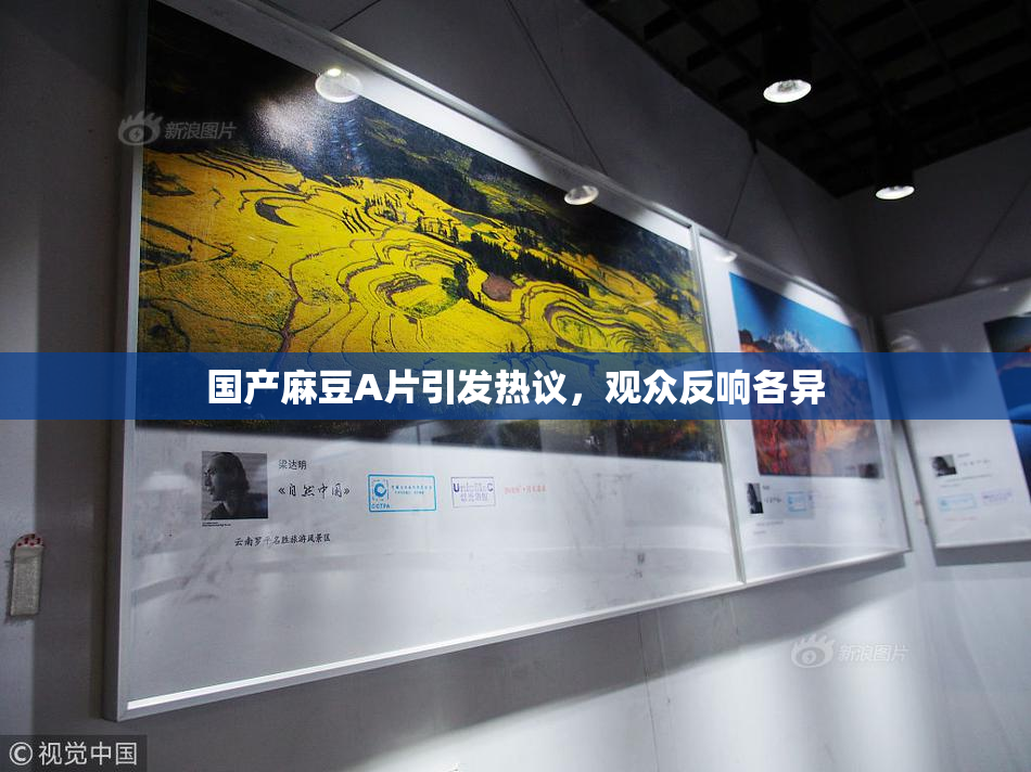国产麻豆A片引发热议，观众反响各异