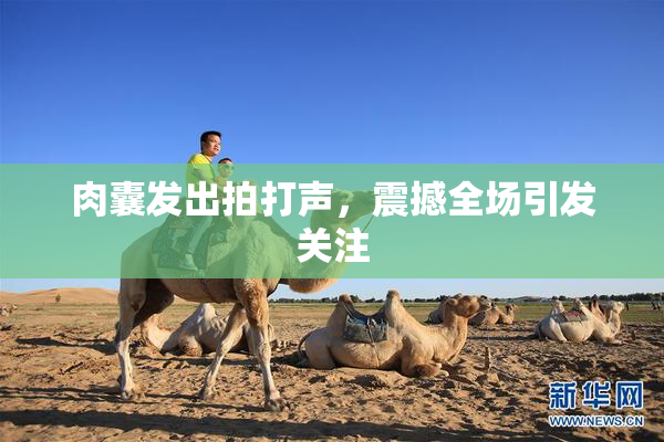 肉囊发出拍打声，震撼全场引发关注
