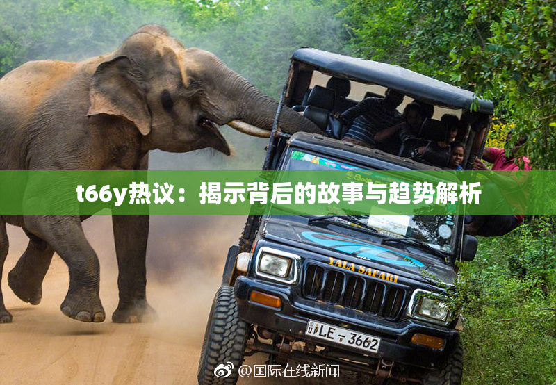 t66y热议：揭示背后的故事与趋势解析