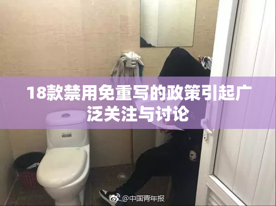 18款禁用免重写的政策引起广泛关注与讨论