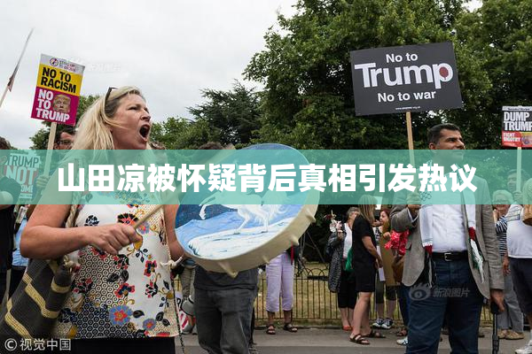 山田凉被怀疑背后真相引发热议