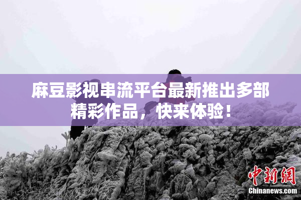 麻豆影视串流平台最新推出多部精彩作品，快来体验！