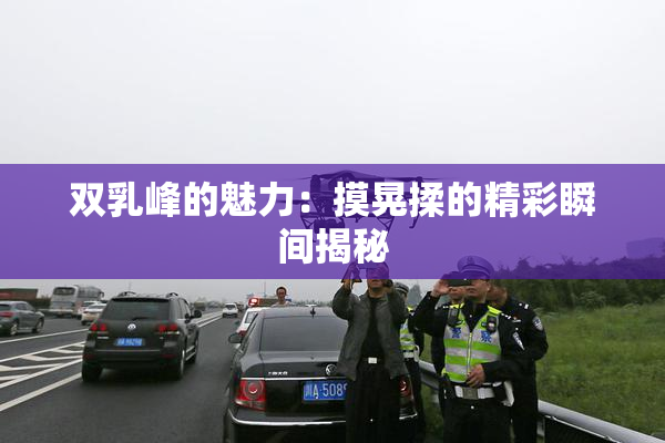 双乳峰的魅力：摸晃揉的精彩瞬间揭秘