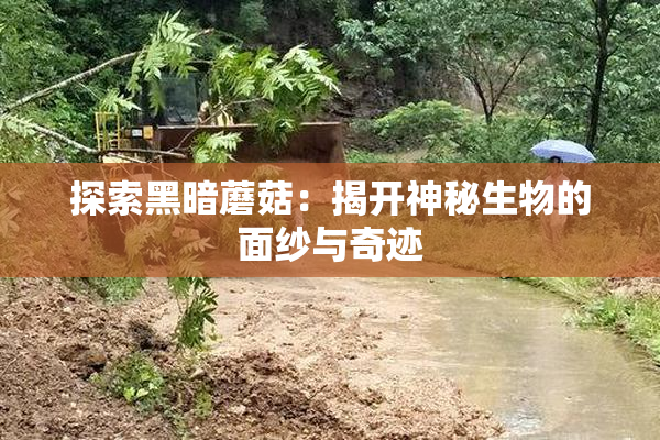 探索黑暗蘑菇：揭开神秘生物的面纱与奇迹