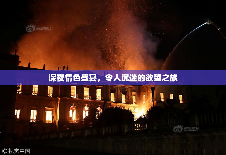 深夜情色盛宴，令人沉迷的欲望之旅