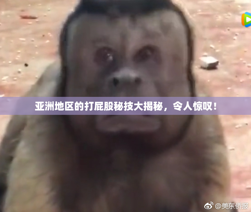 亚洲地区的打屁股秘技大揭秘，令人惊叹！