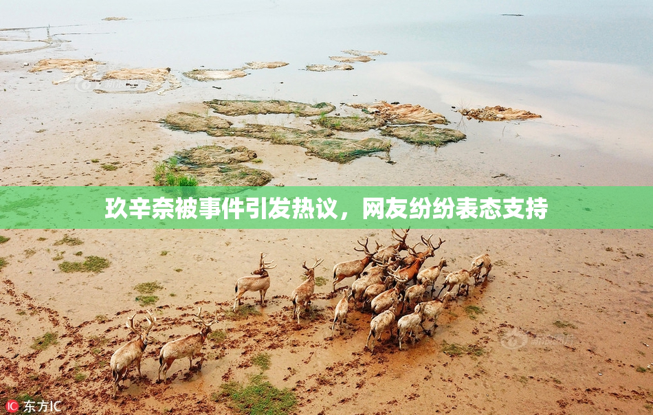 玖辛奈被事件引发热议，网友纷纷表态支持