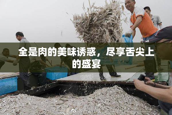 全是肉的美味诱惑，尽享舌尖上的盛宴
