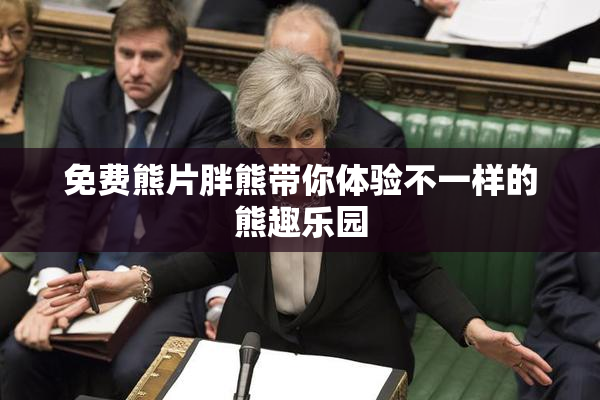 免费熊片胖熊带你体验不一样的熊趣乐园