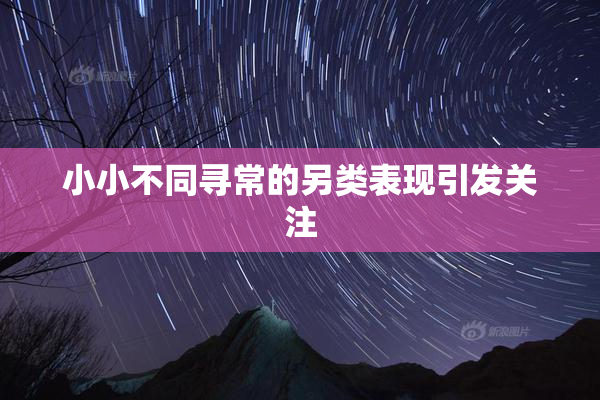 小小不同寻常的另类表现引发关注