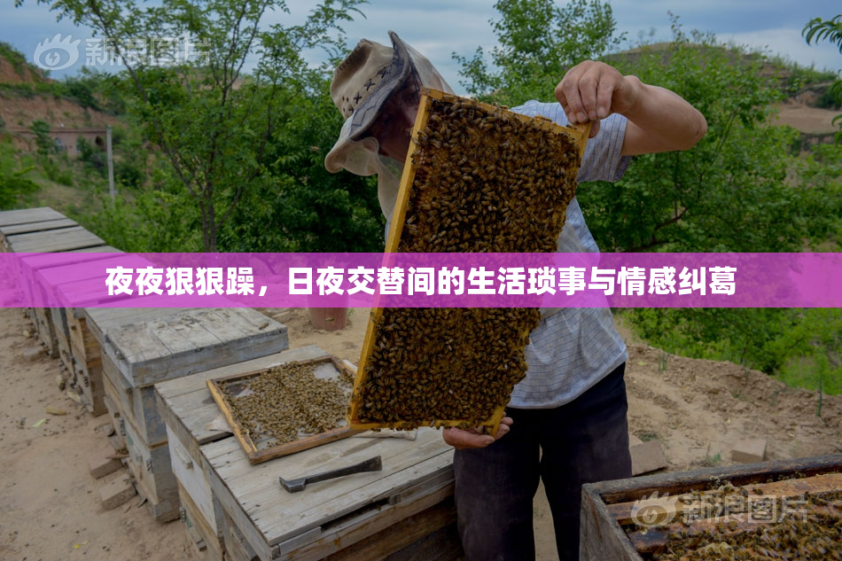 夜夜狠狠躁，日夜交替间的生活琐事与情感纠葛