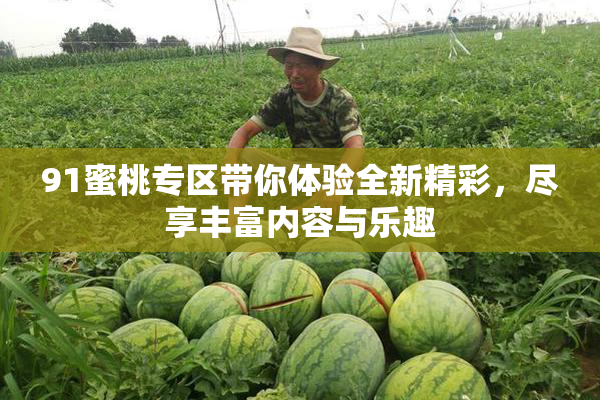 91蜜桃专区带你体验全新精彩，尽享丰富内容与乐趣
