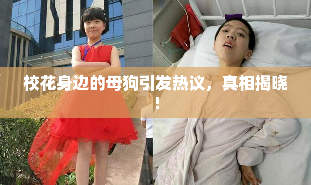 校花身边的母狗引发热议，真相揭晓！