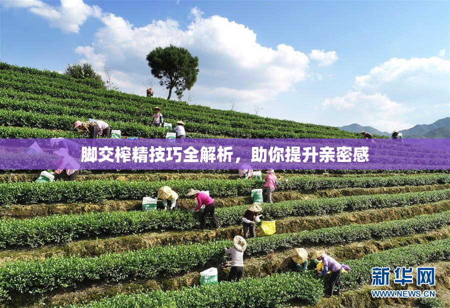 脚交榨精技巧全解析，助你提升亲密感