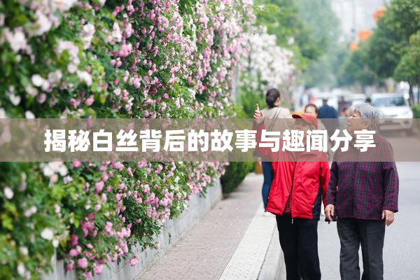 揭秘白丝背后的故事与趣闻分享