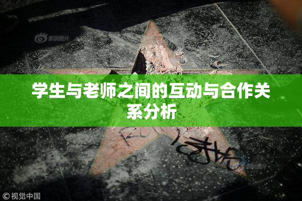 学生与老师之间的互动与合作关系分析