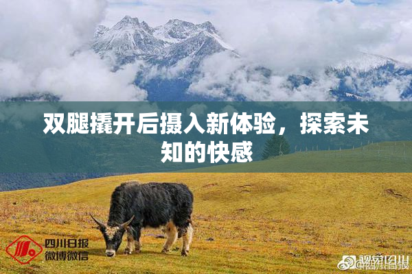 双腿撬开后摄入新体验，探索未知的快感