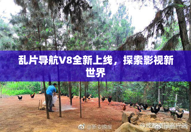 乱片导航V8全新上线，探索影视新世界