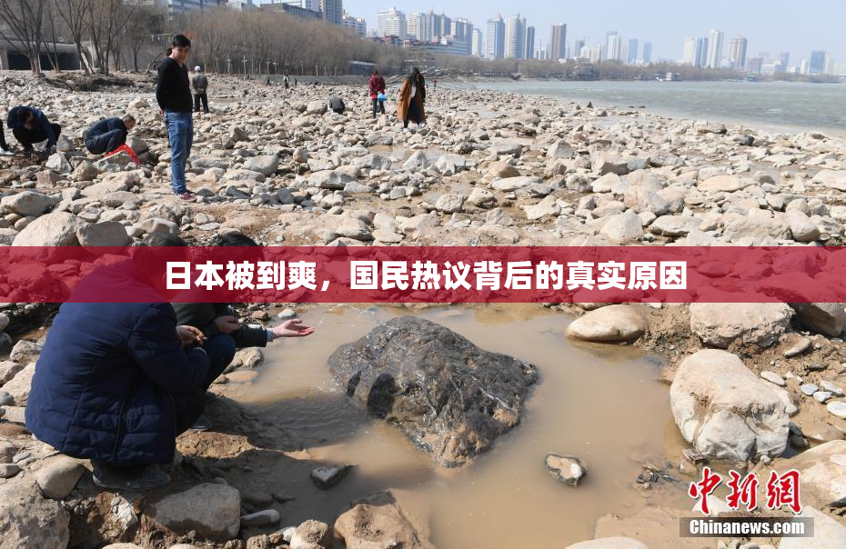 日本被到爽，国民热议背后的真实原因
