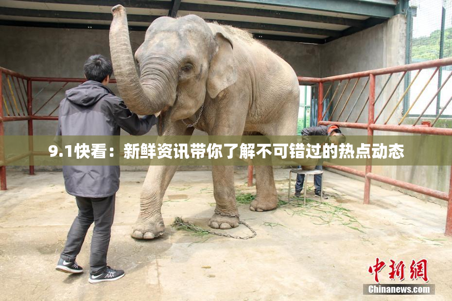 9.1快看：新鲜资讯带你了解不可错过的热点动态