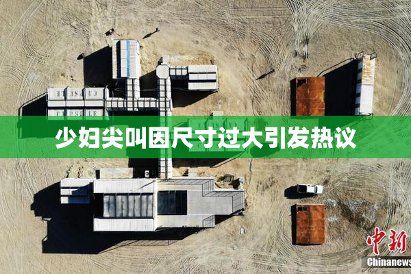 少妇尖叫因尺寸过大引发热议