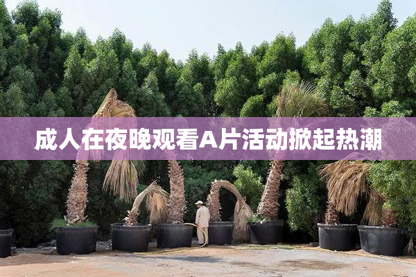 成人在夜晚观看A片活动掀起热潮