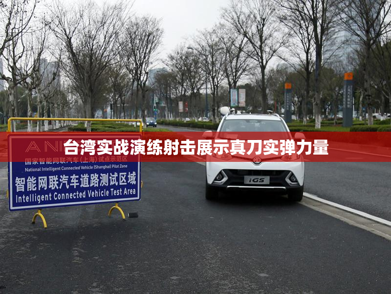 台湾实战演练射击展示真刀实弹力量