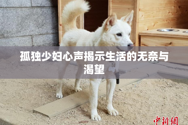 孤独少妇心声揭示生活的无奈与渴望