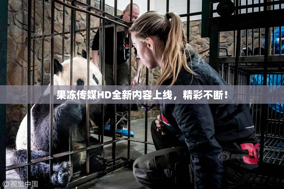 果冻传媒HD全新内容上线，精彩不断！