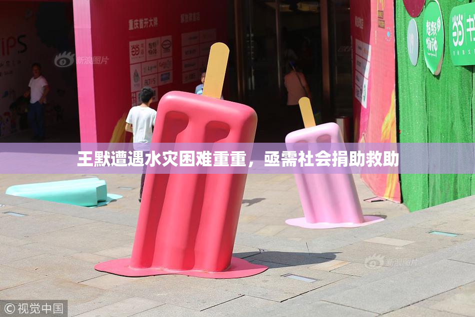 王默遭遇水灾困难重重，亟需社会捐助救助
