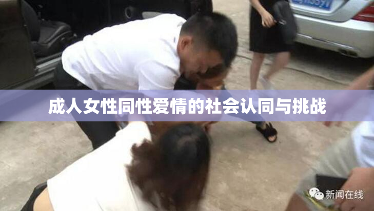 成人女性同性爱情的社会认同与挑战