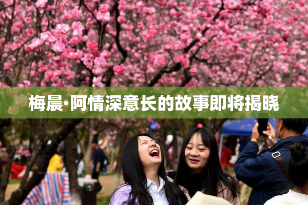 梅晨·阿情深意长的故事即将揭晓
