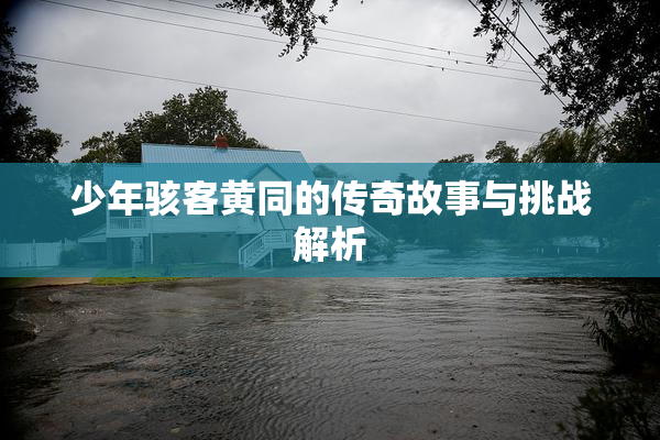 少年骇客黄同的传奇故事与挑战解析