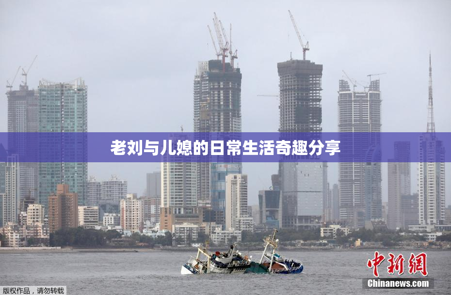 老刘与儿媳的日常生活奇趣分享