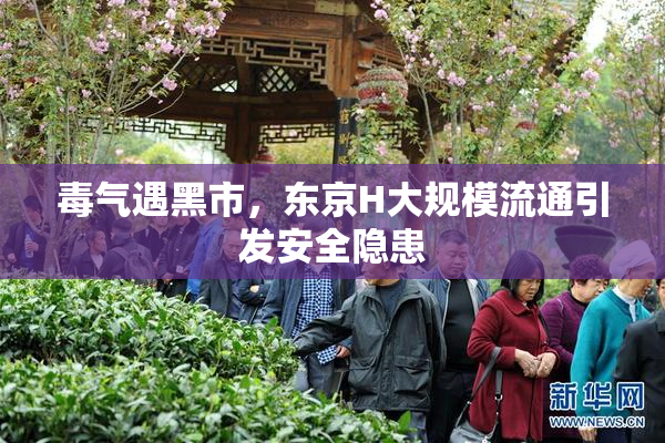 毒气遇黑市，东京H大规模流通引发安全隐患