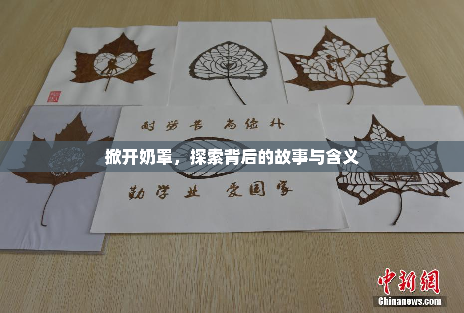 掀开奶罩，探索背后的故事与含义