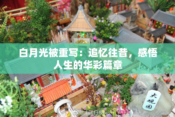 白月光被重写：追忆往昔，感悟人生的华彩篇章