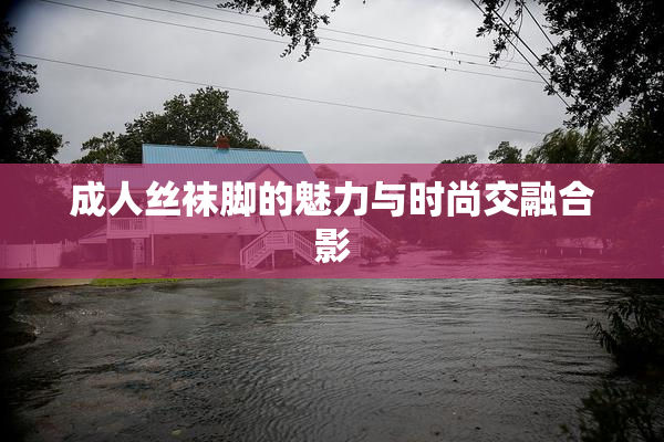 成人丝袜脚的魅力与时尚交融合影