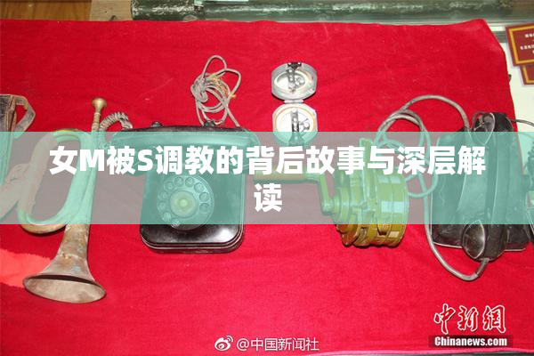 女M被S调教的背后故事与深层解读