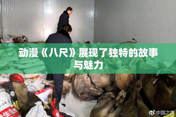 动漫《八尺》展现了独特的故事与魅力