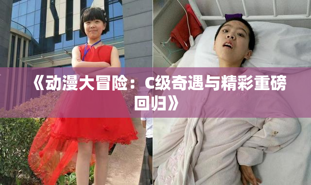《动漫大冒险：C级奇遇与精彩重磅回归》