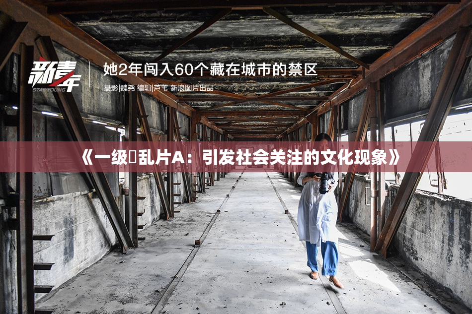 《一级婬乱片A：引发社会关注的文化现象》