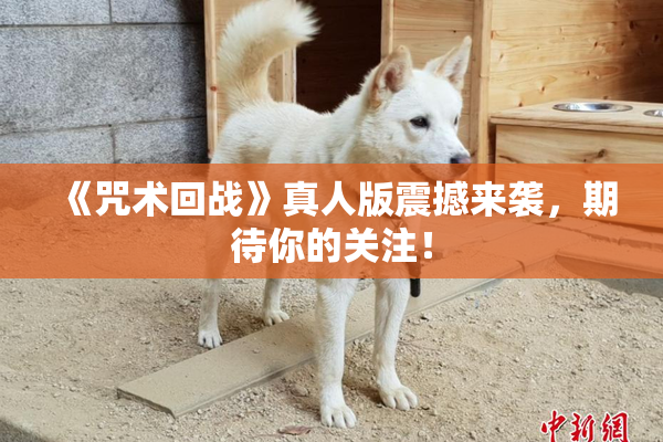 《咒术回战》真人版震撼来袭，期待你的关注！