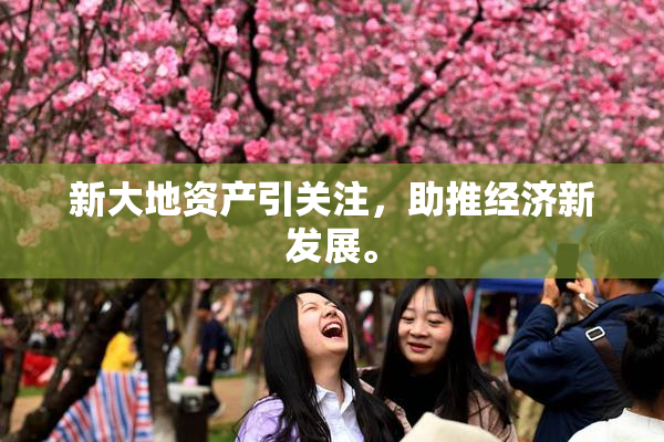 新大地资产引关注，助推经济新发展。