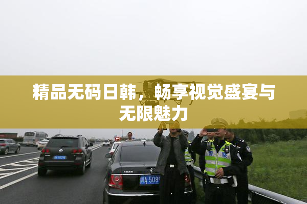 精品无码日韩，畅享视觉盛宴与无限魅力