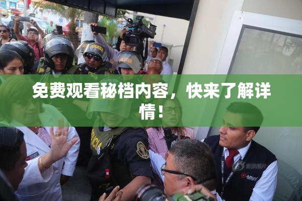 免费观看秘档内容，快来了解详情！