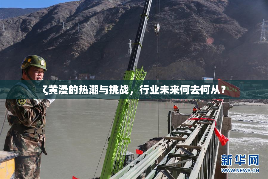 ζ黄漫的热潮与挑战，行业未来何去何从？